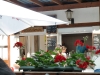 cimg0125